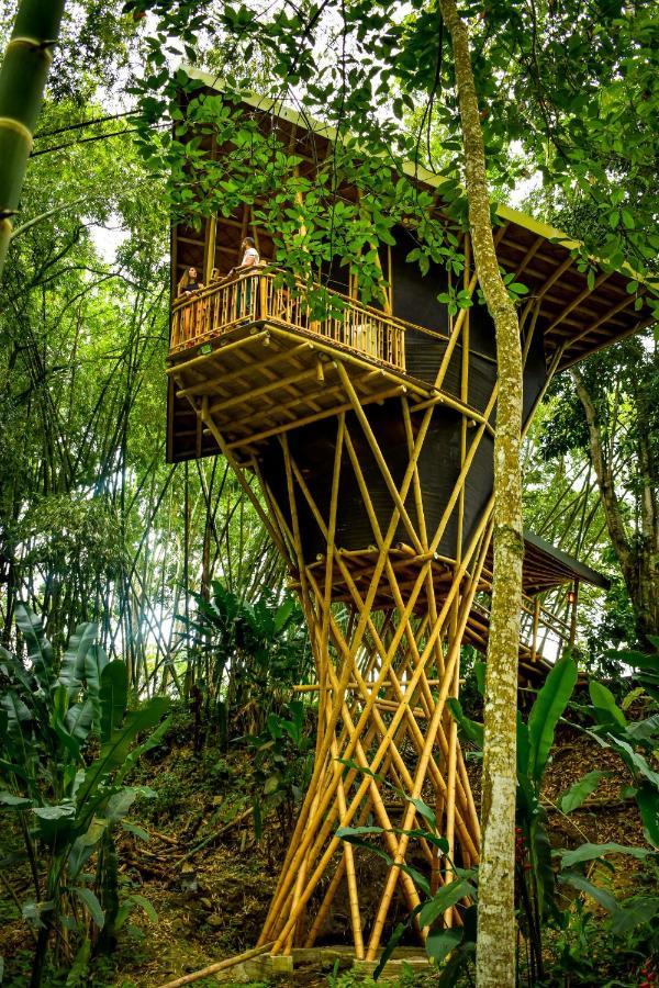 Eco Hotel Hacienda El Diamante 부가 외부 사진