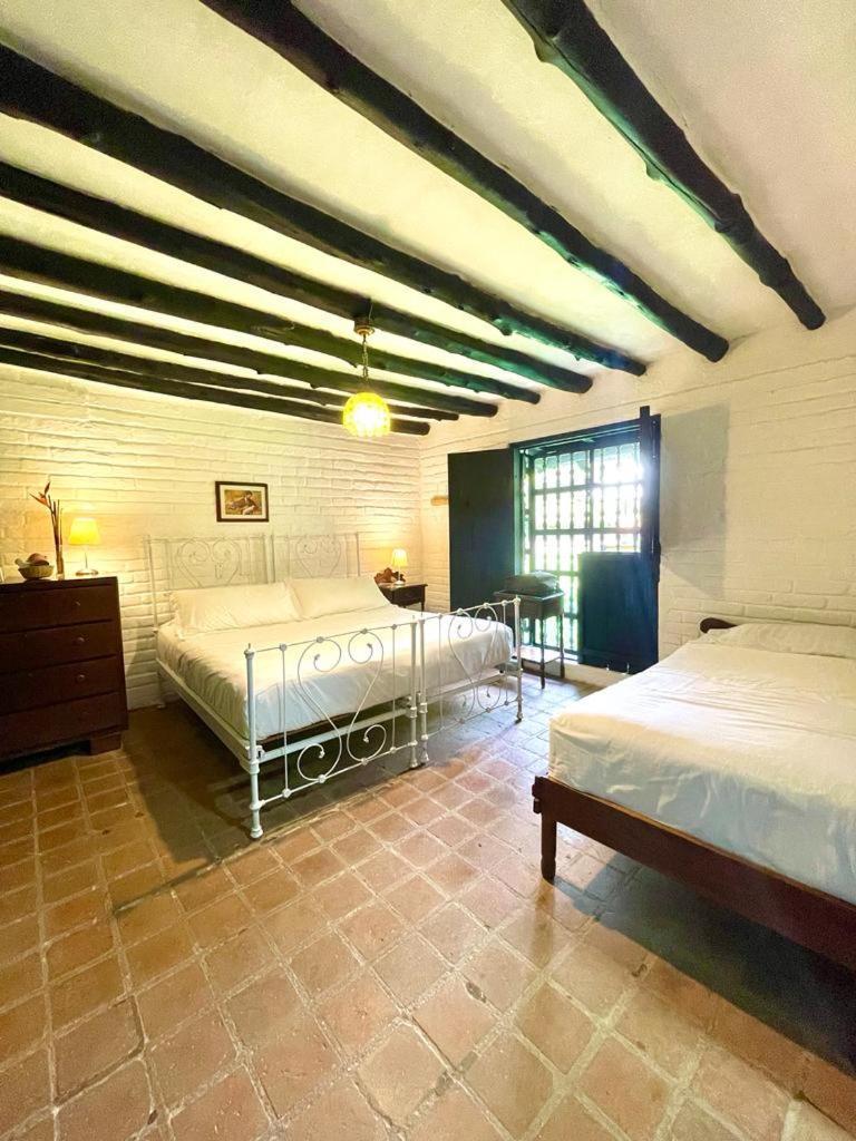Eco Hotel Hacienda El Diamante 부가 객실 사진
