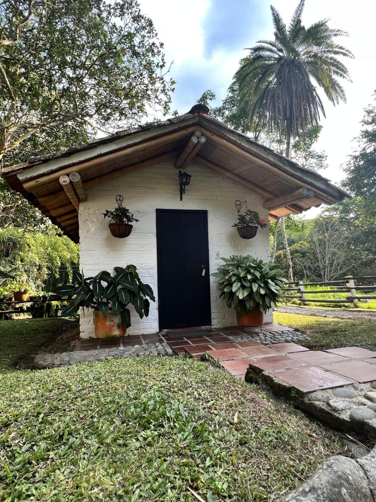 Eco Hotel Hacienda El Diamante 부가 객실 사진